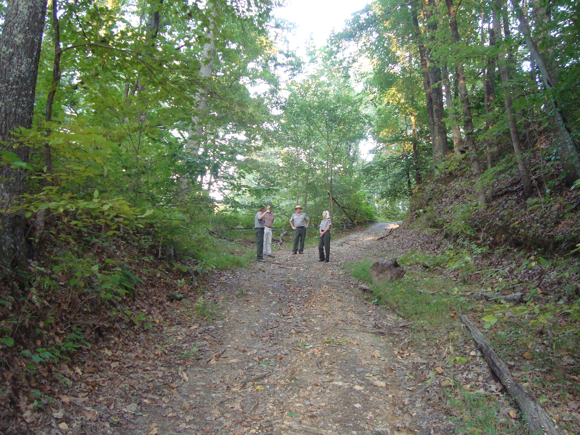 A group of people walking down a trail in the woods.