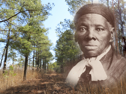 Portrait of Harriet Tubman transposed on a wooded landscape.