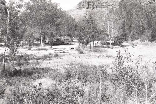 Trailer and car parked in the South Campground with trees and surrounding foliage.