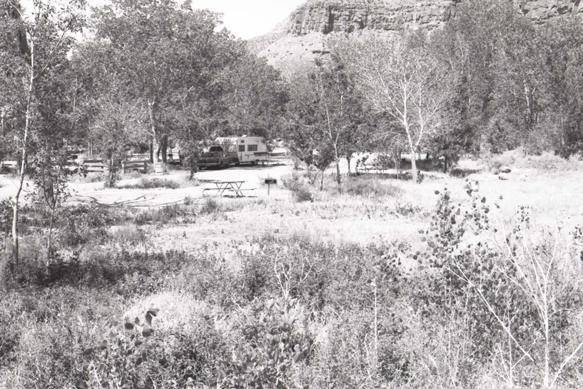Trailer and car parked in the South Campground with trees and surrounding foliage.