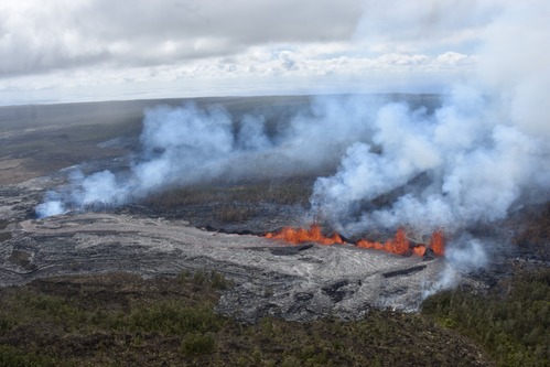 Lava erupts out of a crack in a forest with gas wafting above it