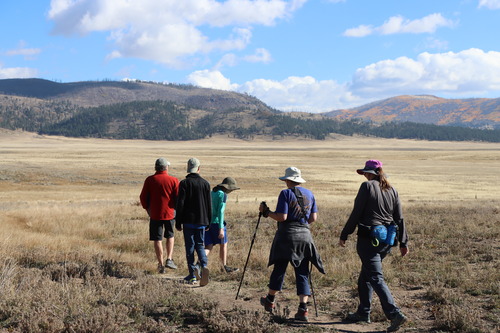 A group of 5 people walking away from us into a montane grassland.