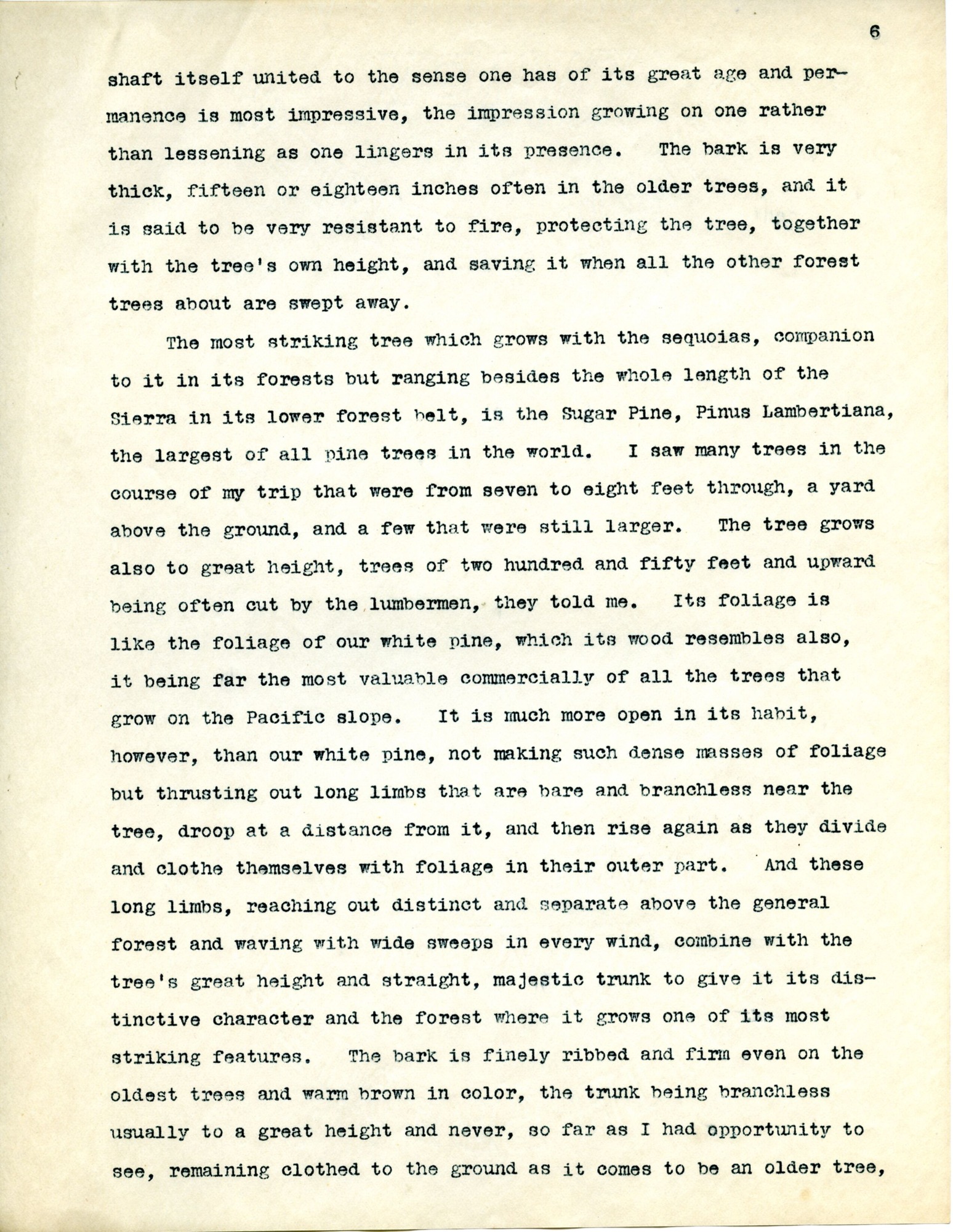 Journal, Dorr, September 1904 p.6