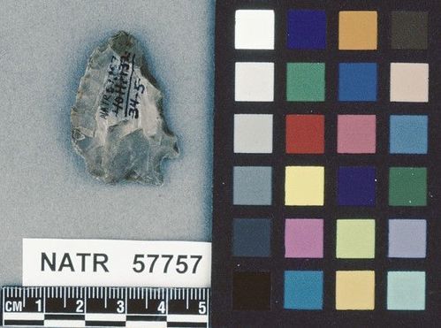 NATR   57757 -- White Springs Cluster projectile point