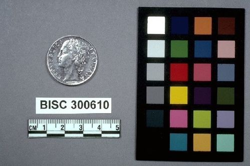 BISC  300610 -- Coin