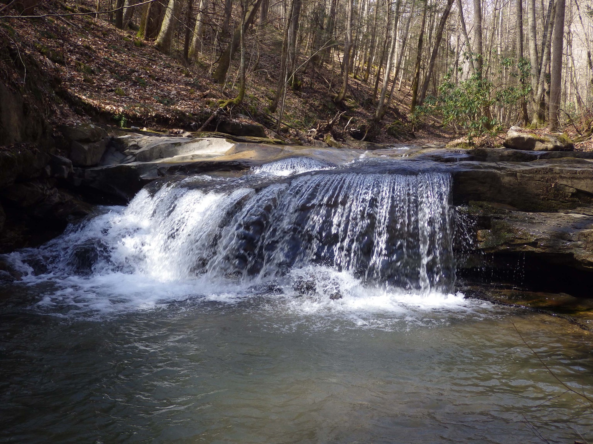 Site visit photo showing the upstream (UP) or downstream (DN) view of a wadeable stream reach taken during benthic macroinvertebrate monitoring at New River Gorge National Park and Preserve.