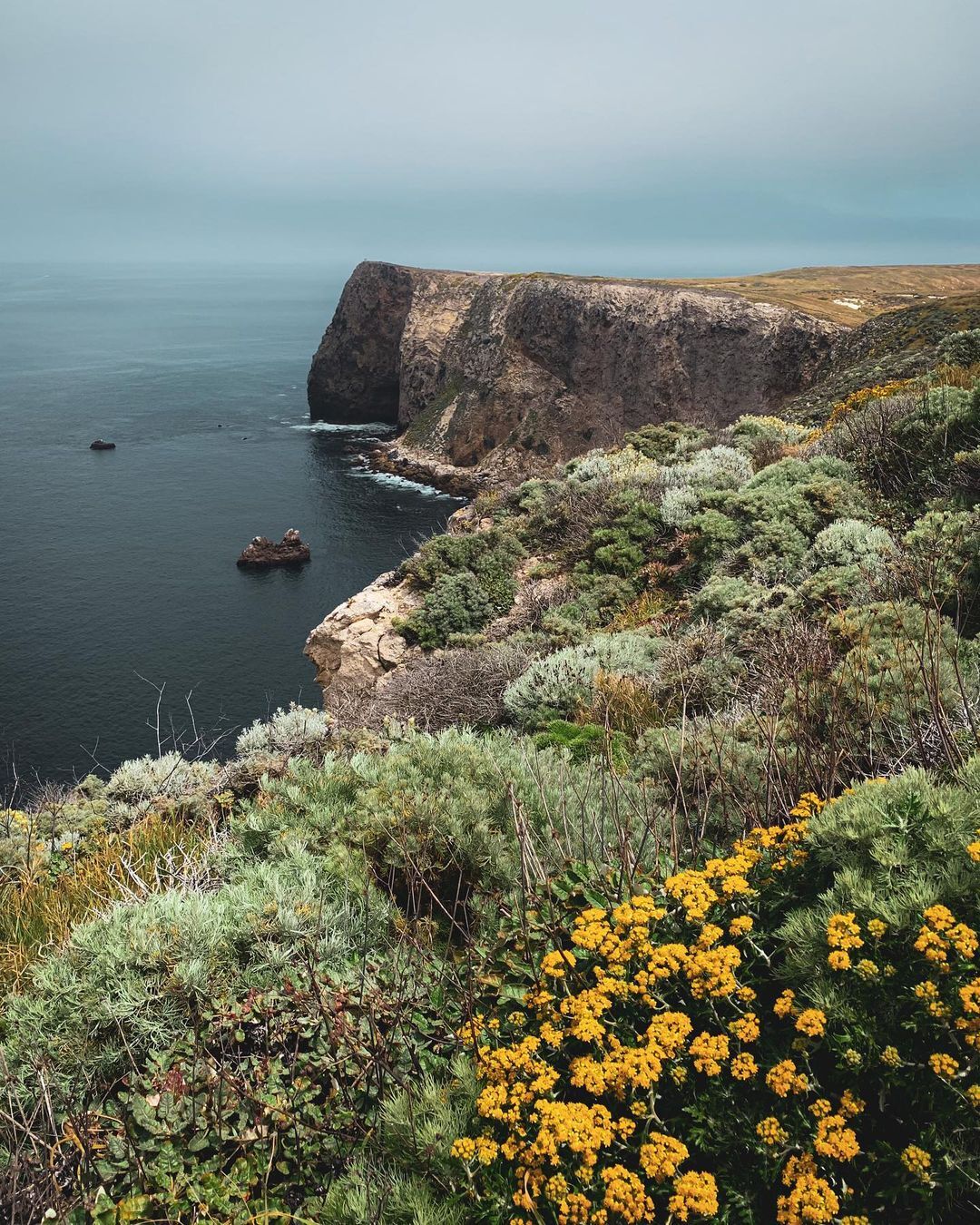 green vegetation on coastal island cliff with overcast skies