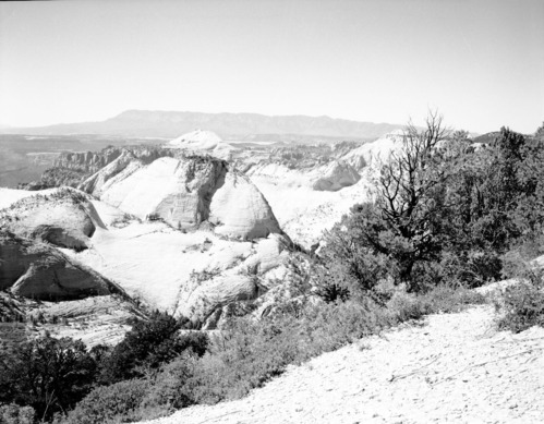 View west from West Rim trail. Pine Valley Mountains in distance, Great West Canyon (also called Left Fork of North Creek) in near foreground.