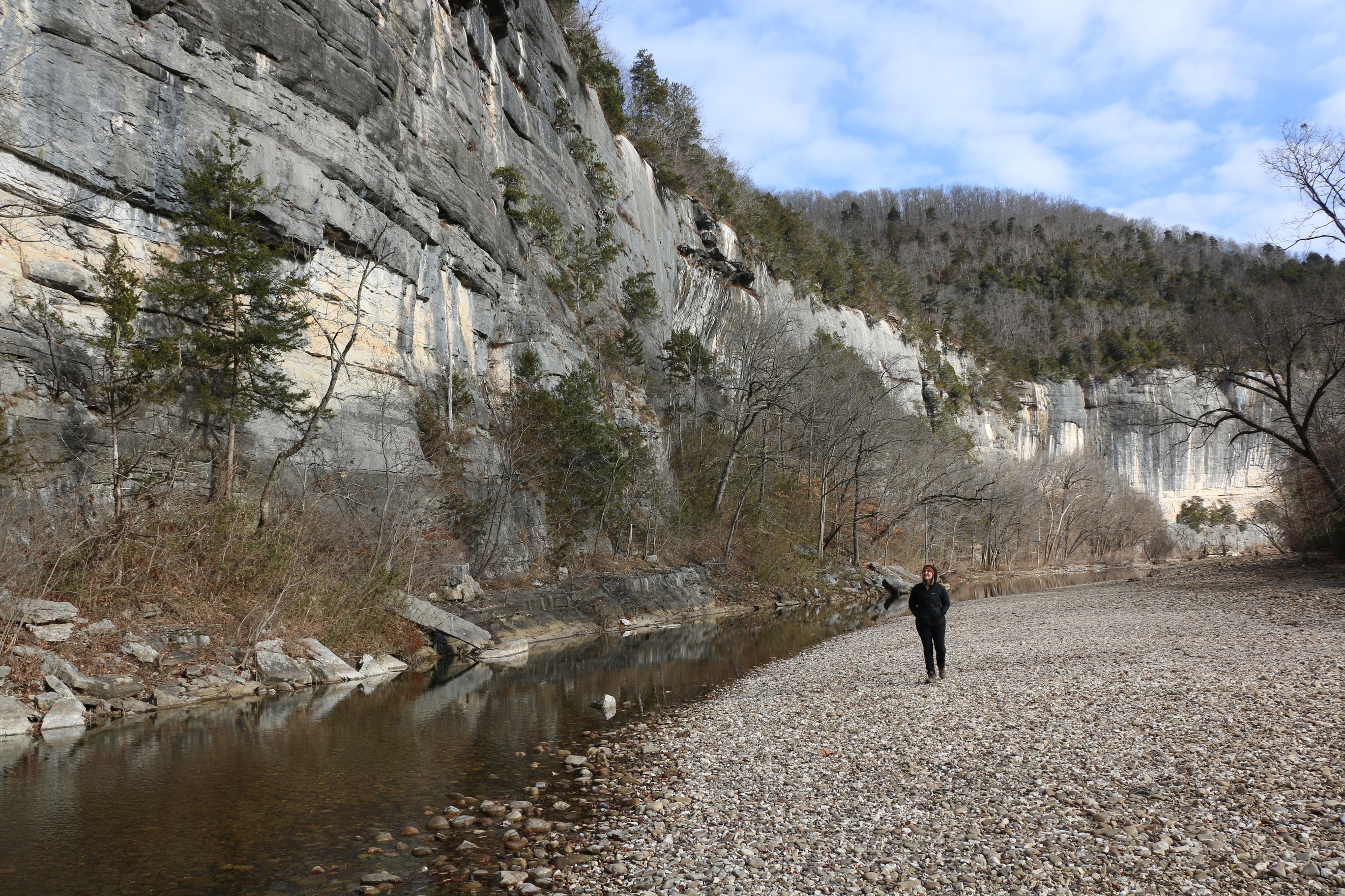 The Buffalo River runs very low at the base of Roark Bluff at Steel Creek
