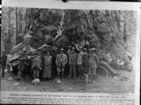 Mariposa Grove, Yosemite National Park, Misc. Groups, Theodore Roosevelt's visit to the Grizzly Giant, R to L: Benjamin Ide Wheeler, Private Secretary Loeb, Nicholas Murry, Butler President Columbia U. SEKI Historic Image