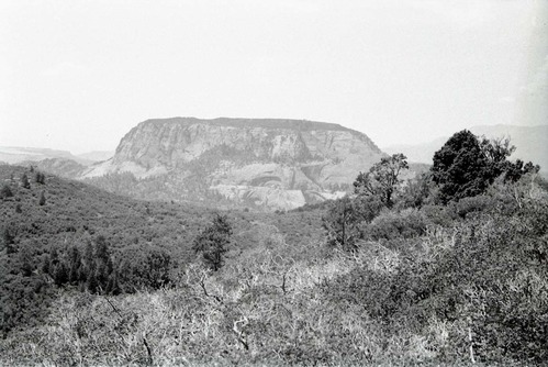 BW photo of the 1937 grazing study 35MM.