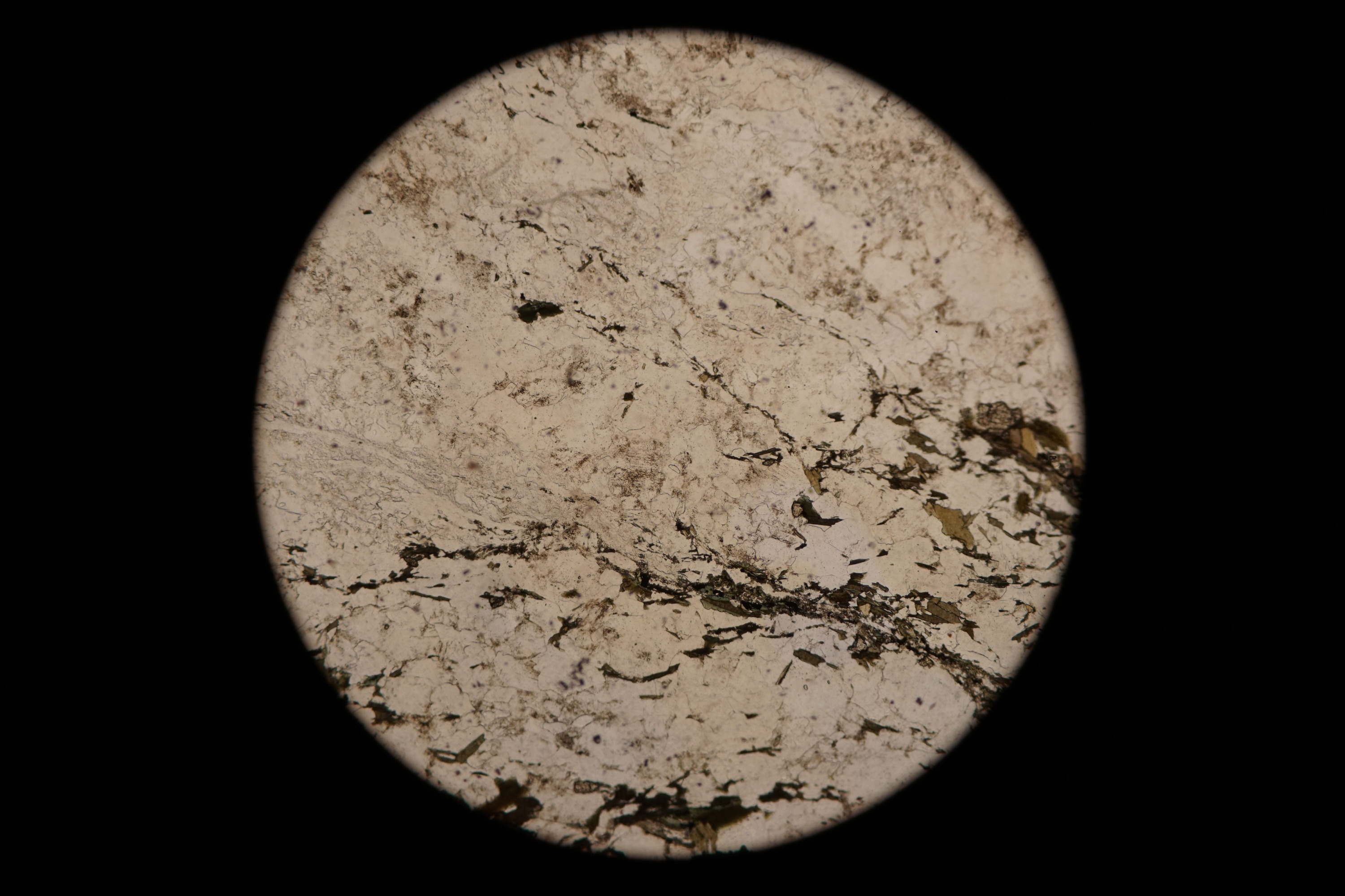 Circular microscopic image of rock structure.