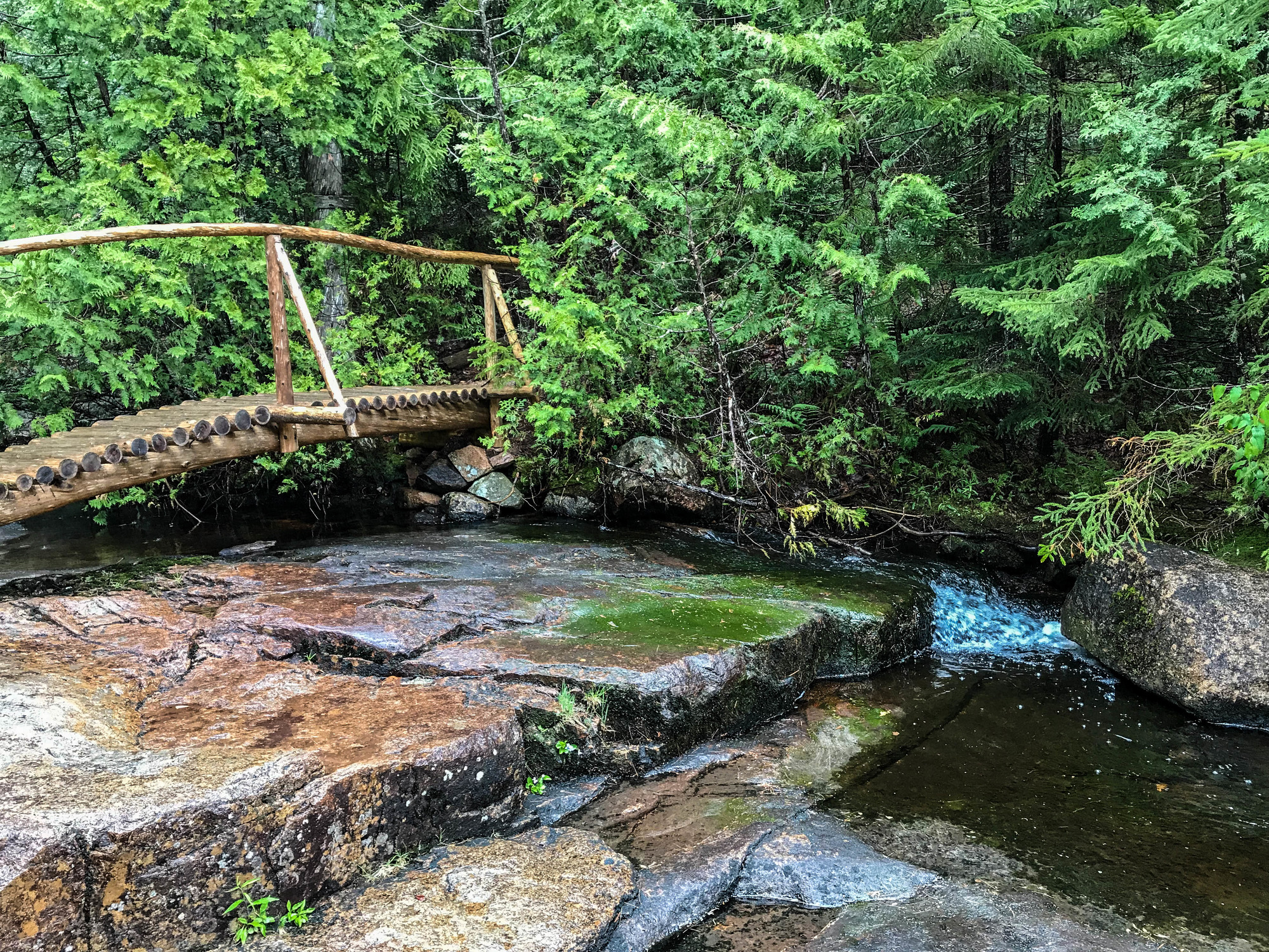 Wooden bridge over a small creek in the woods