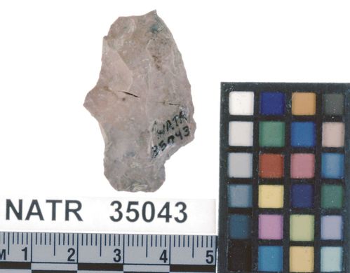NATR   35043 -- Untyped projectile point