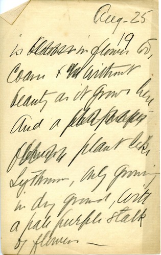 Journal, Dorr, August 25 p.19