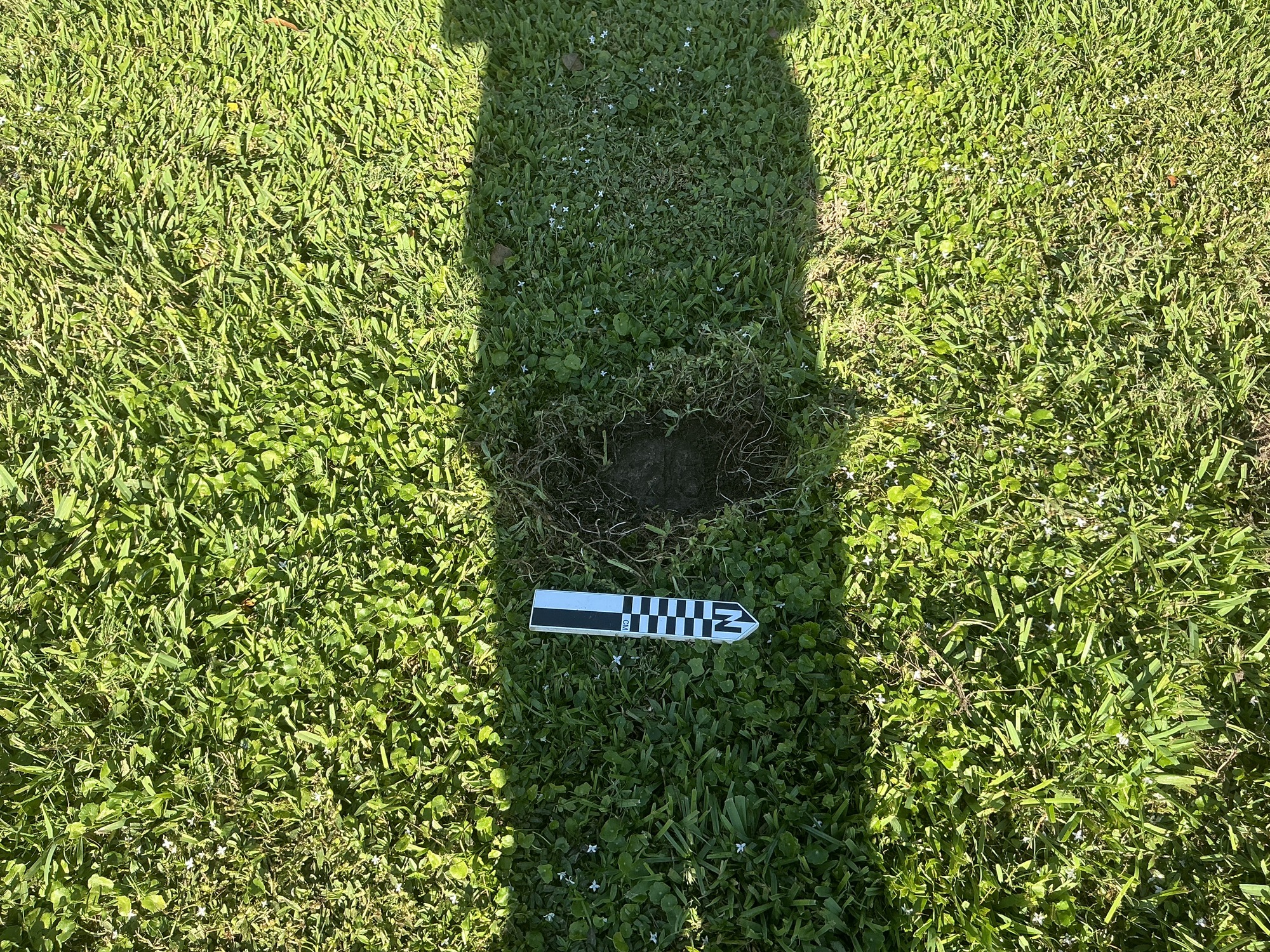 Extra image of flat marble marker