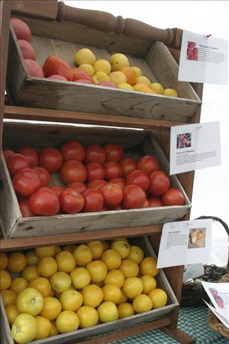 Countryside Farmers' Market produce