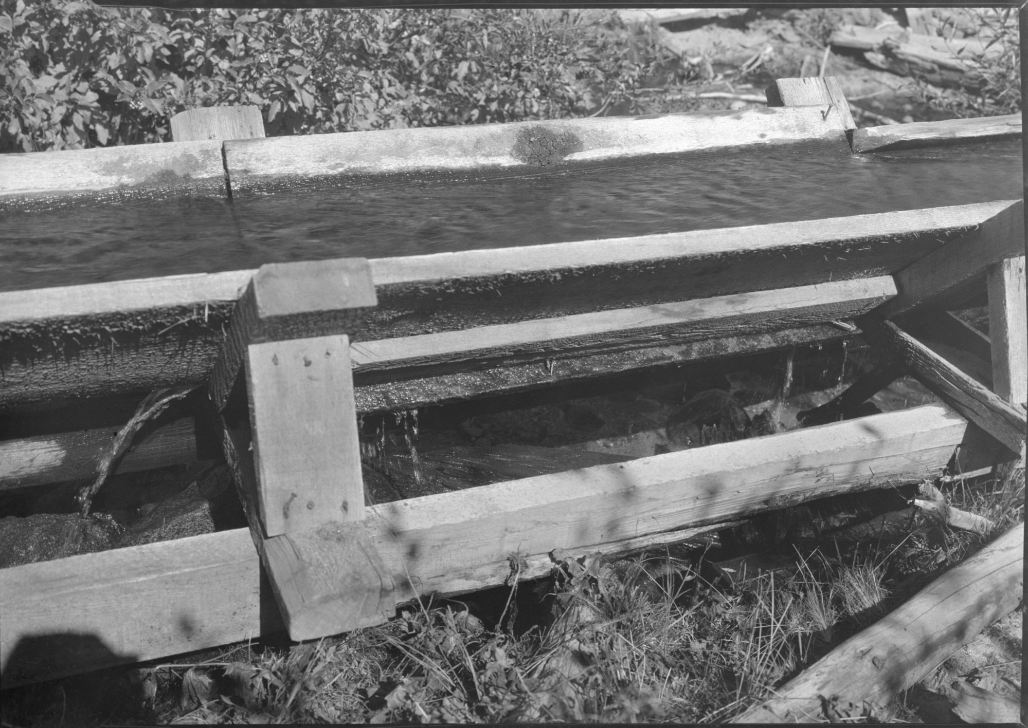 Sugar Pine Lumber Co. flume at Raynor Creek, showing leaky condition.