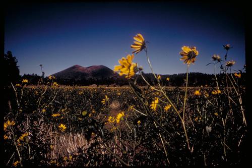 Sunset Crater National Monument, Arizona
