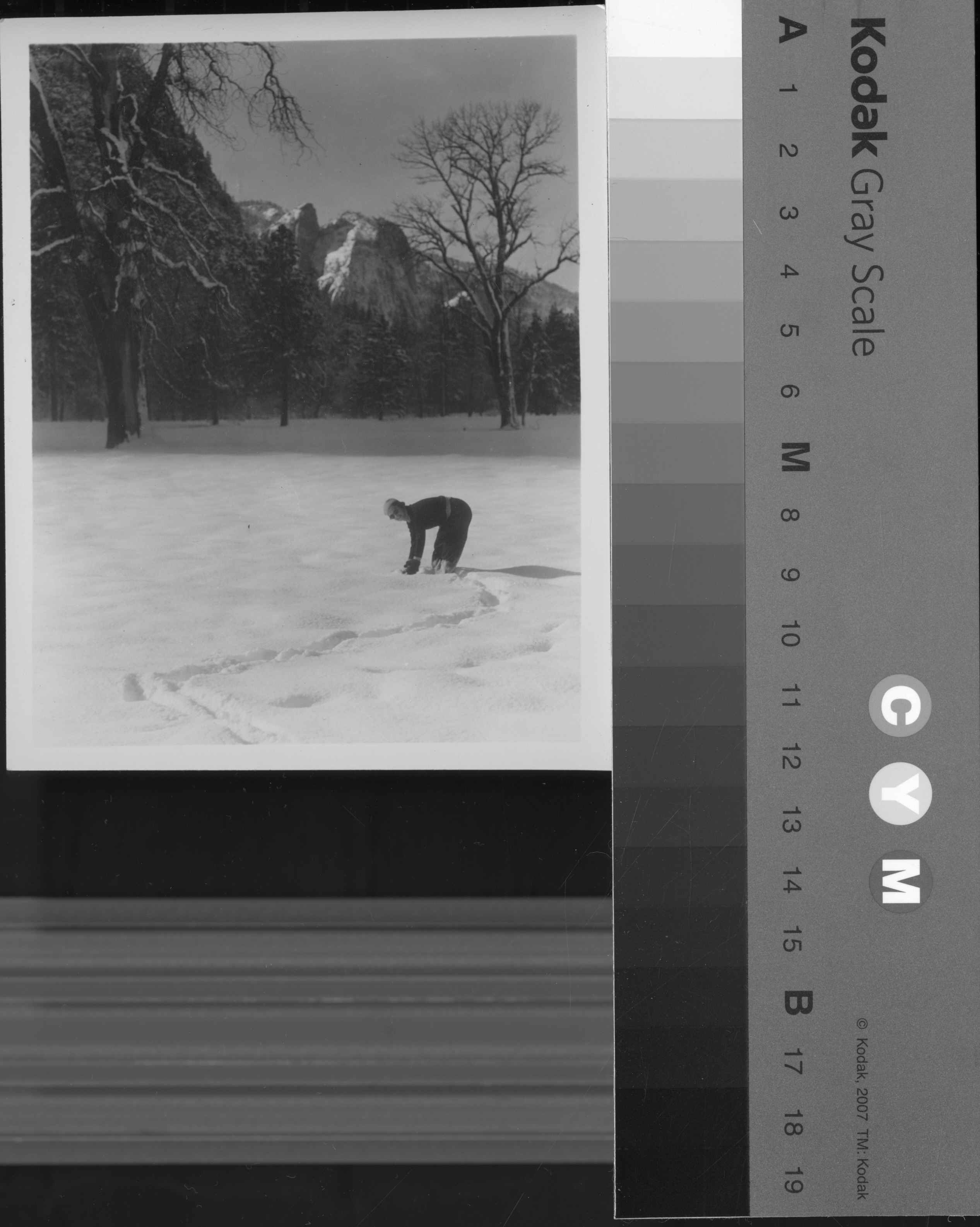 Winter sports enthusiast on meadow.