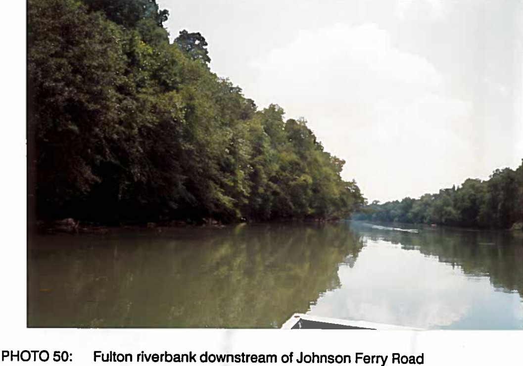 Fulton Co. Fulton riverbank downstream of Johnson Ferry Rd