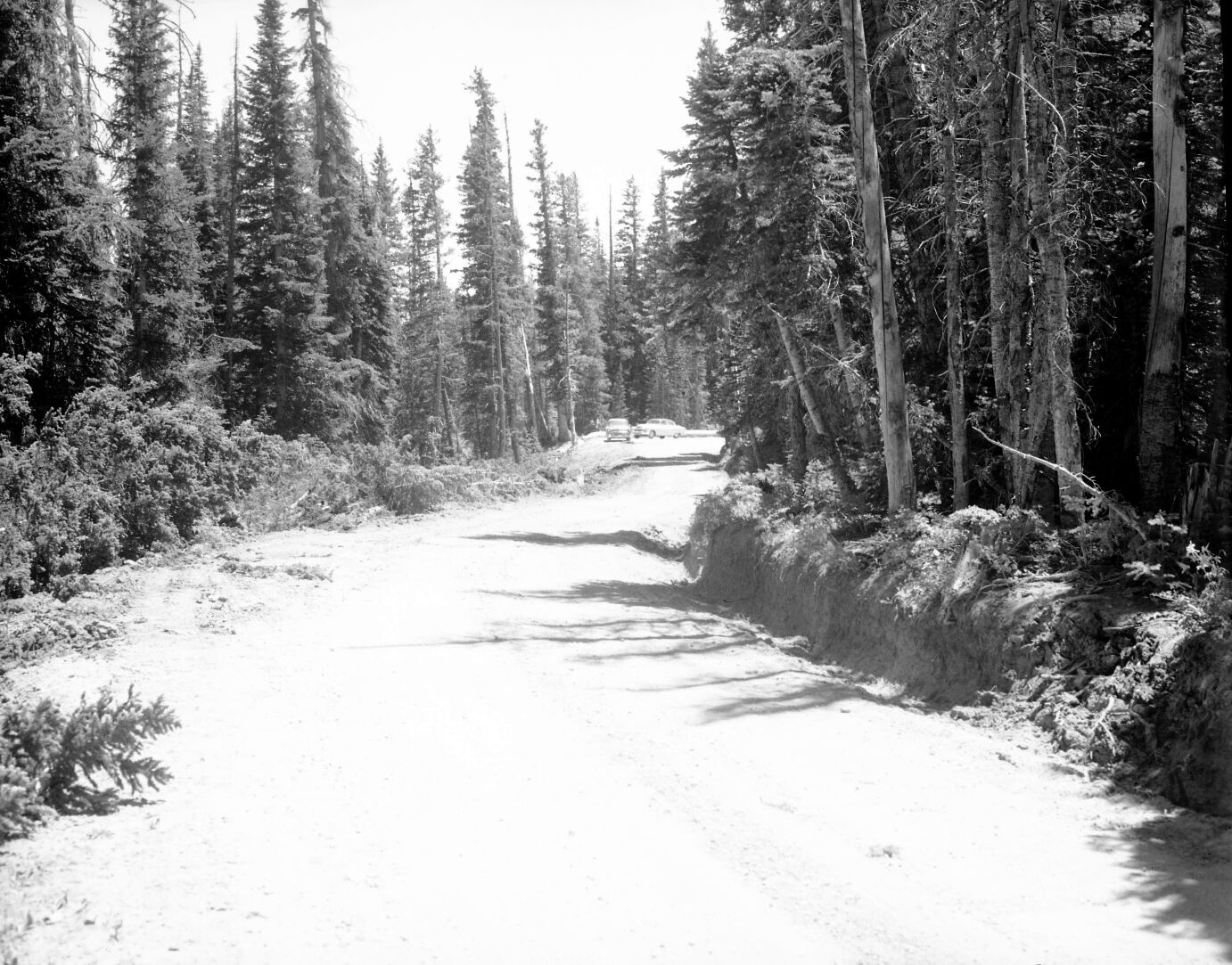 New road cut through forest, two cars parked in pullout area.