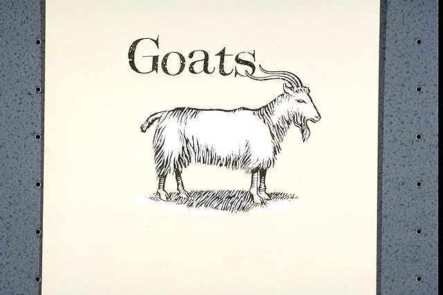 trade good: goats.