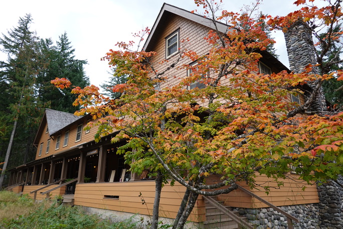 A small tree with leaves transitioning from green on the lower branches, to yellow, to red on the top branches. It grows in front a large wood building with a covered front porch and a stone chimney. 