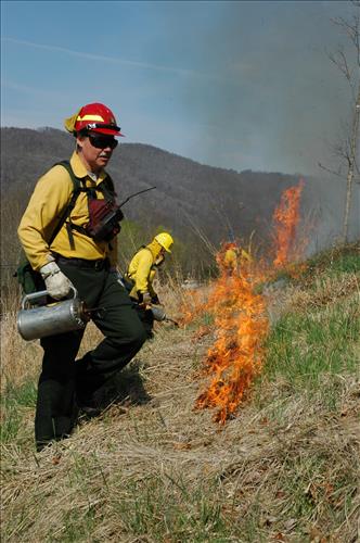Prescribed fire activities near the Sandstone Visitor Center in New River Gorge National Park and Preserve in January 2007.