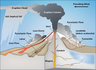 Illustration of a composite volcano peak erupting. One-quarter of the mountain is cut away to show features below ground. Above ground features include lava flows, steam vents, snow fields, a landslide, and a large ash plume from the mountain top vent. Feature labels include Magma, Conduit, Lava flow, Lahar, Pyroclastic flow, Lava dome, Vent, Landslide (debris avalanche), fumaroles, Eruption column, Eruption cloud, Ash (tephra) fall, and Prevailing wind.
