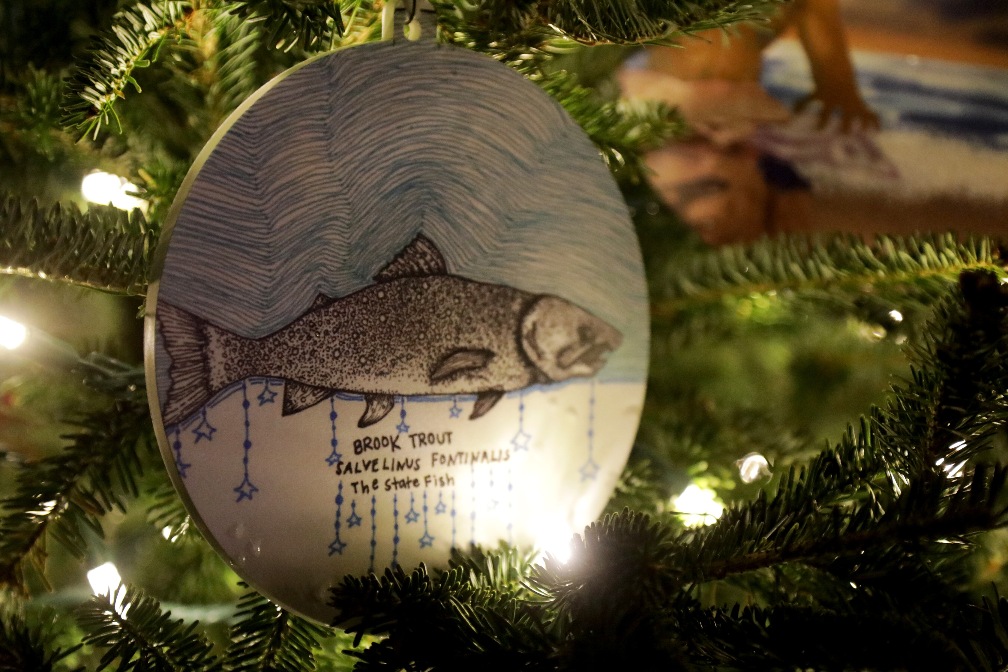 Student-made ornament of an illustrated Brook Trout lit by Christmas lights. 