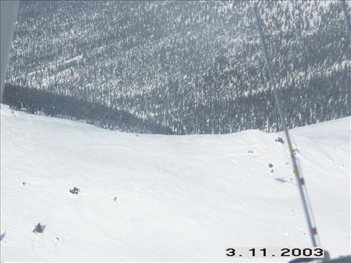 2 Yukon-Charley Rivers National Preserve Wolf Capture 2003