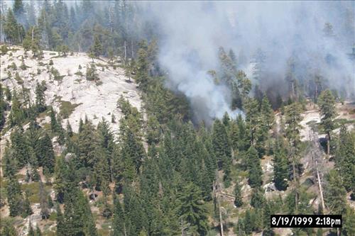 Eleanor Wildland Fire, August-September 1999, Yosemite National Park