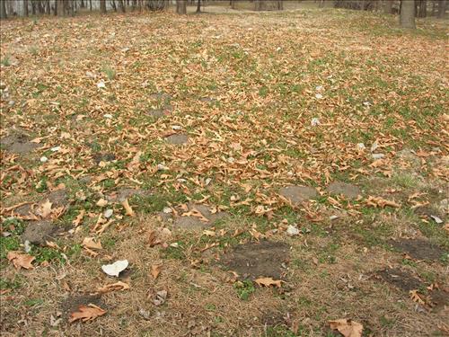 Mitigate Erosion and Restore Landscape PMIS Project 190981