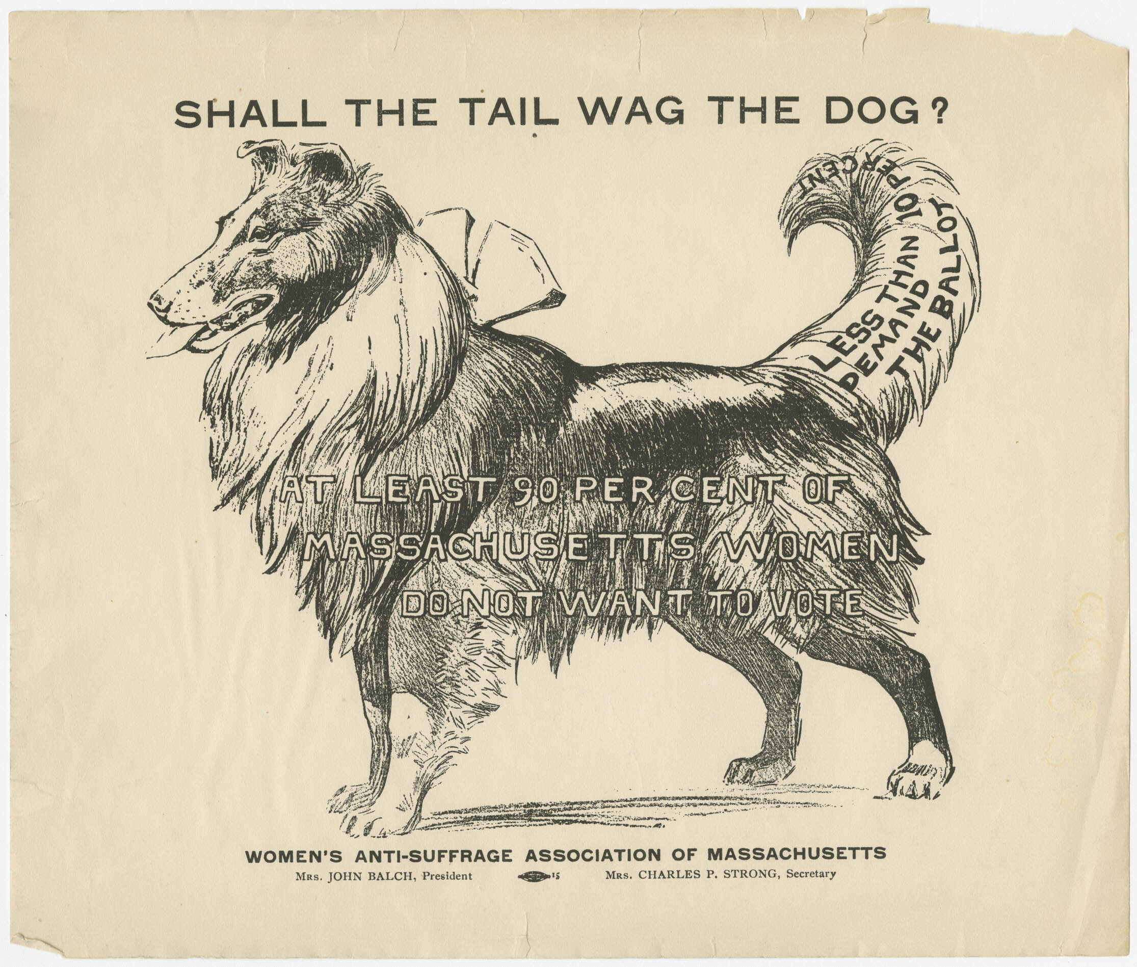 "Shall the Tail Wag the Dog?" Broadside, Massachusetts Association Opposed to the Further Extension of Suffrage to Women, 1915. 