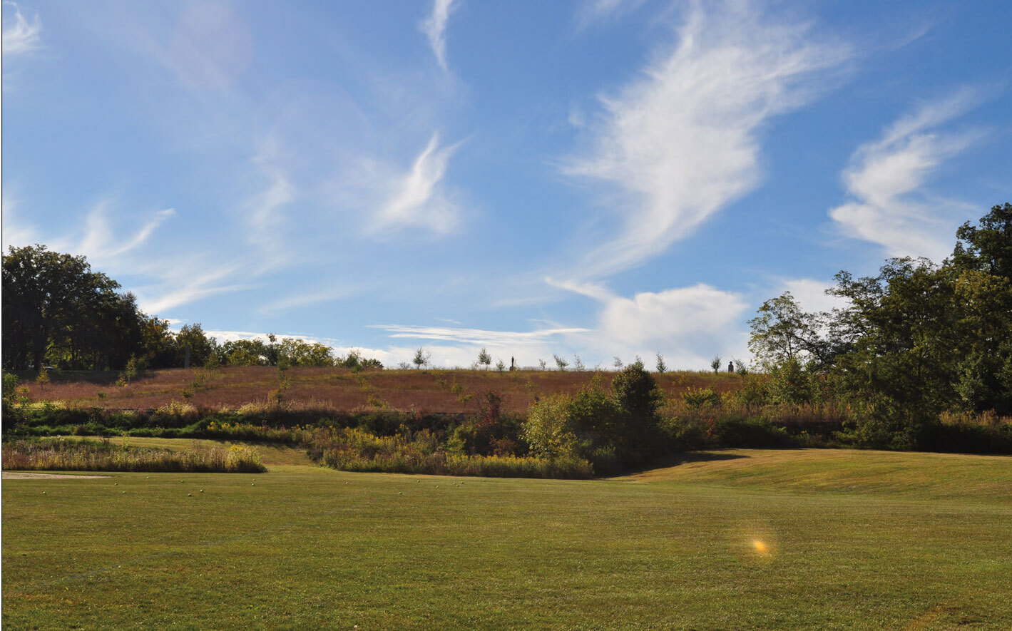 A grid of young orchard trees grows on a slope, beyond a level area of open grass.
