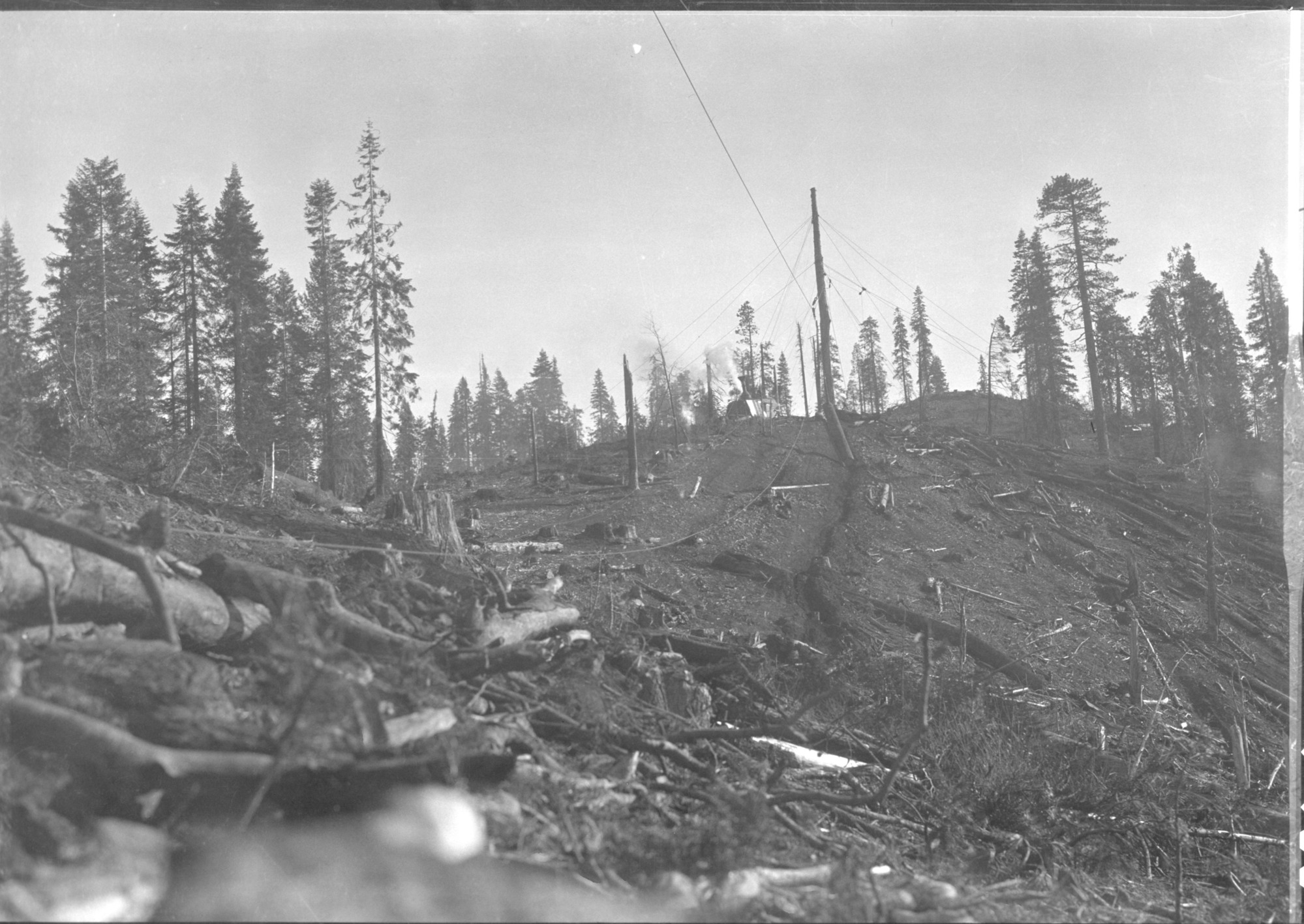 Yosemite Lumber Co. Skyline method of logging.