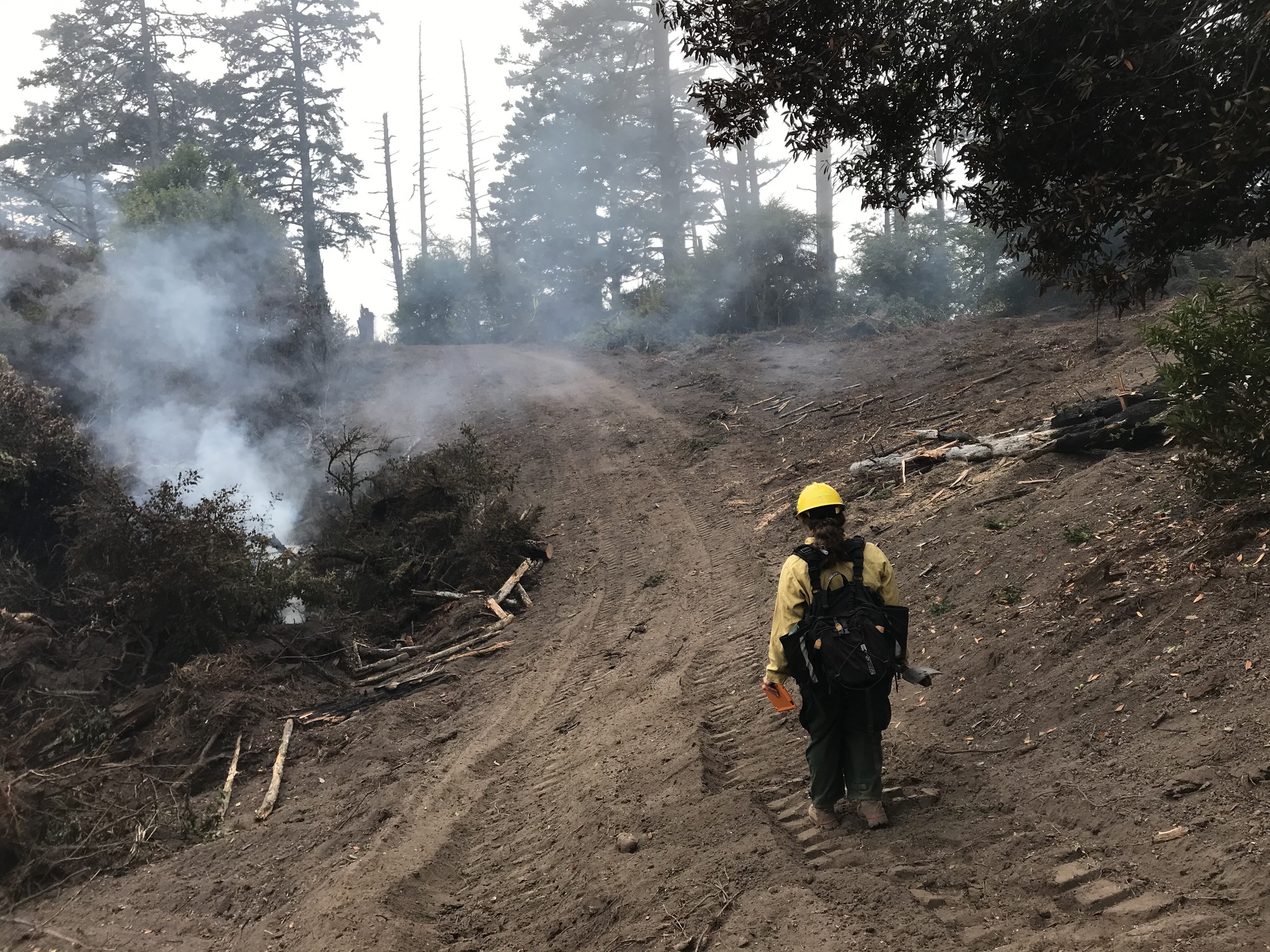 A firefighter dressed in a yellow shirt and hard hat and green pants wearing a black backpack walks along a fire line in a forest as smoke rises from vegetation on the left.