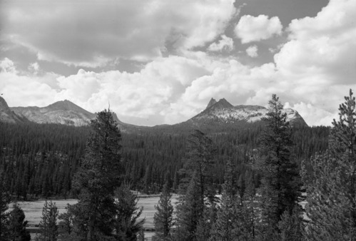 Tuolumne Meadows showing Cathedral Peak in the distance