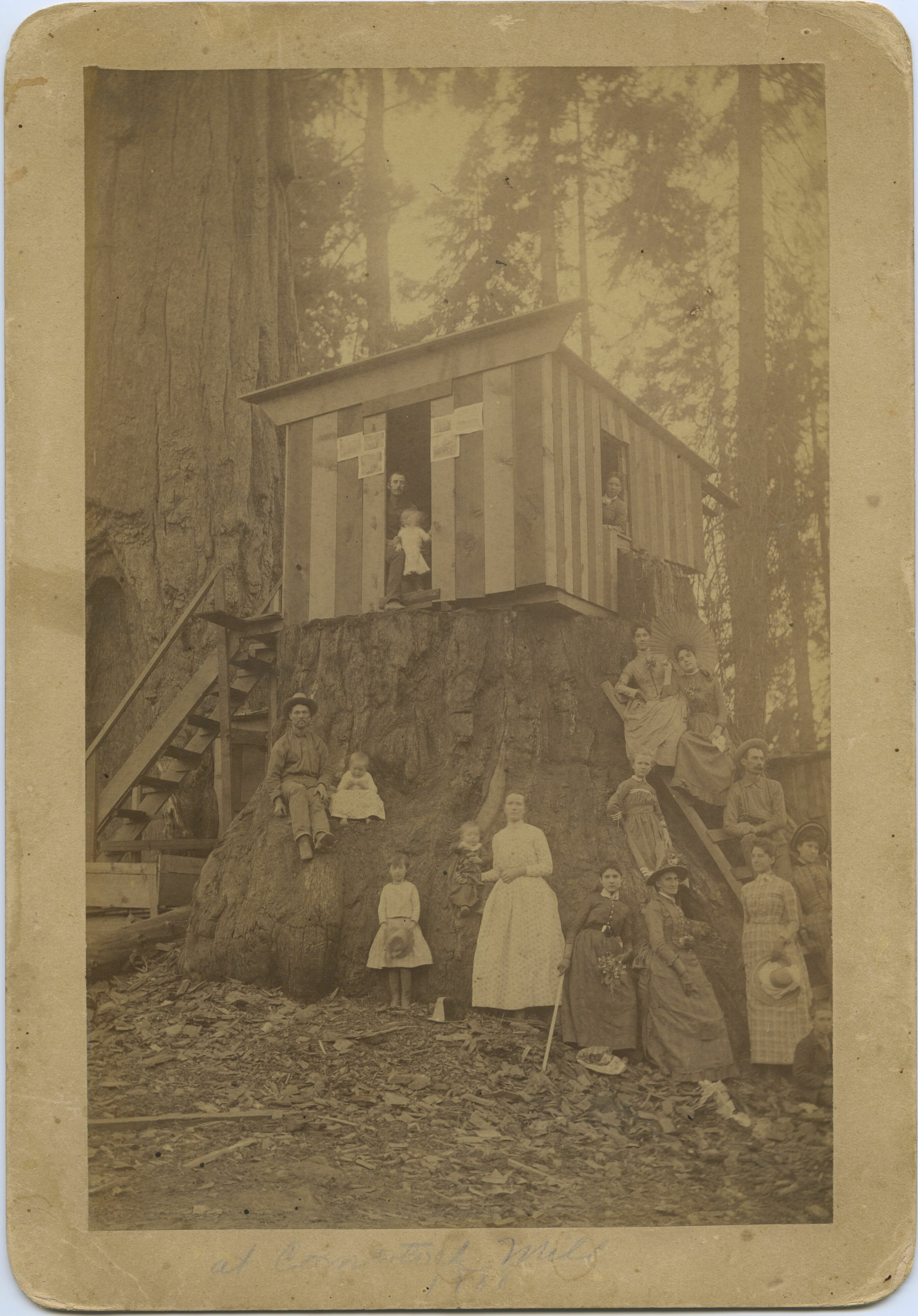SEKI Roberts Collection Series: 3 Prints; 2 Medium; 13 Sequoias