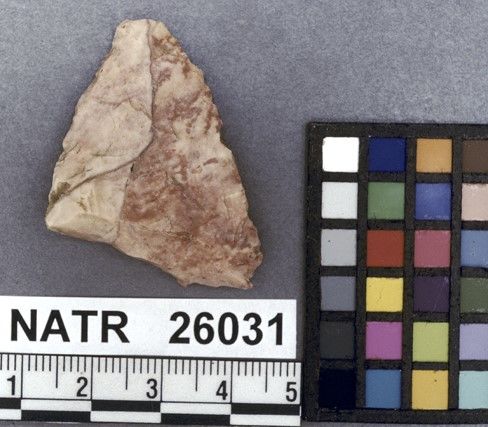 NATR   26031 -- Untyped projectile point