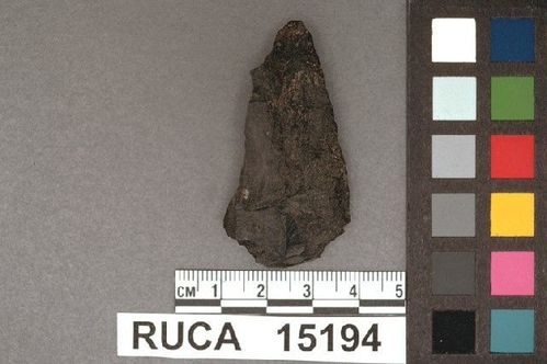 RUCA   15194 -- Point, Projectile
