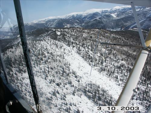 1 Yukon-Charley Rivers National Preserve Wolf Capture 2003