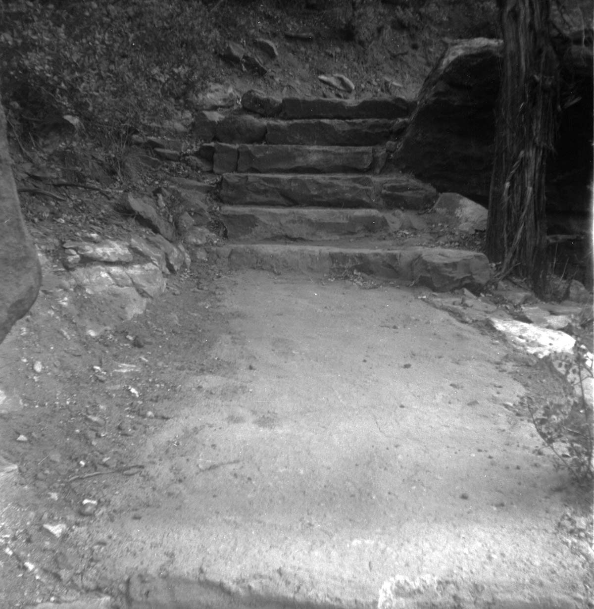 The Emerald Pool trail reconstruction.