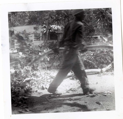 NPS employees clearing and removing brush.