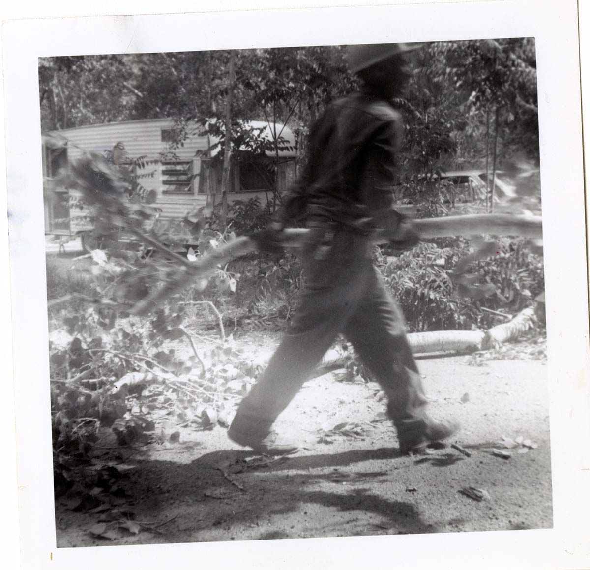 NPS employees clearing and removing brush.