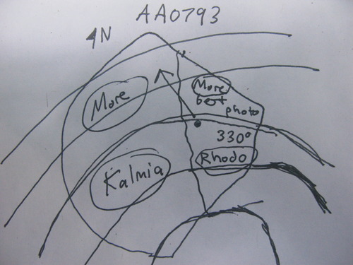 GRSM Accuracy Assessment. Plot Code: GRSM_AA_0793_7