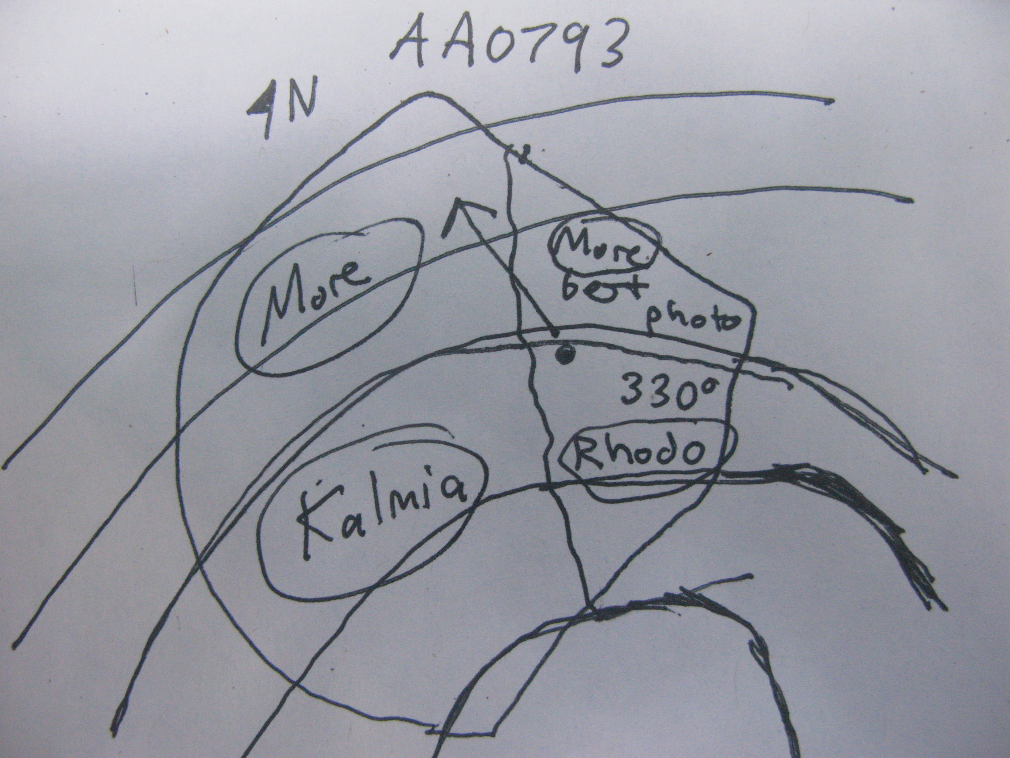 GRSM Accuracy Assessment. Plot Code: GRSM_AA_0793_7