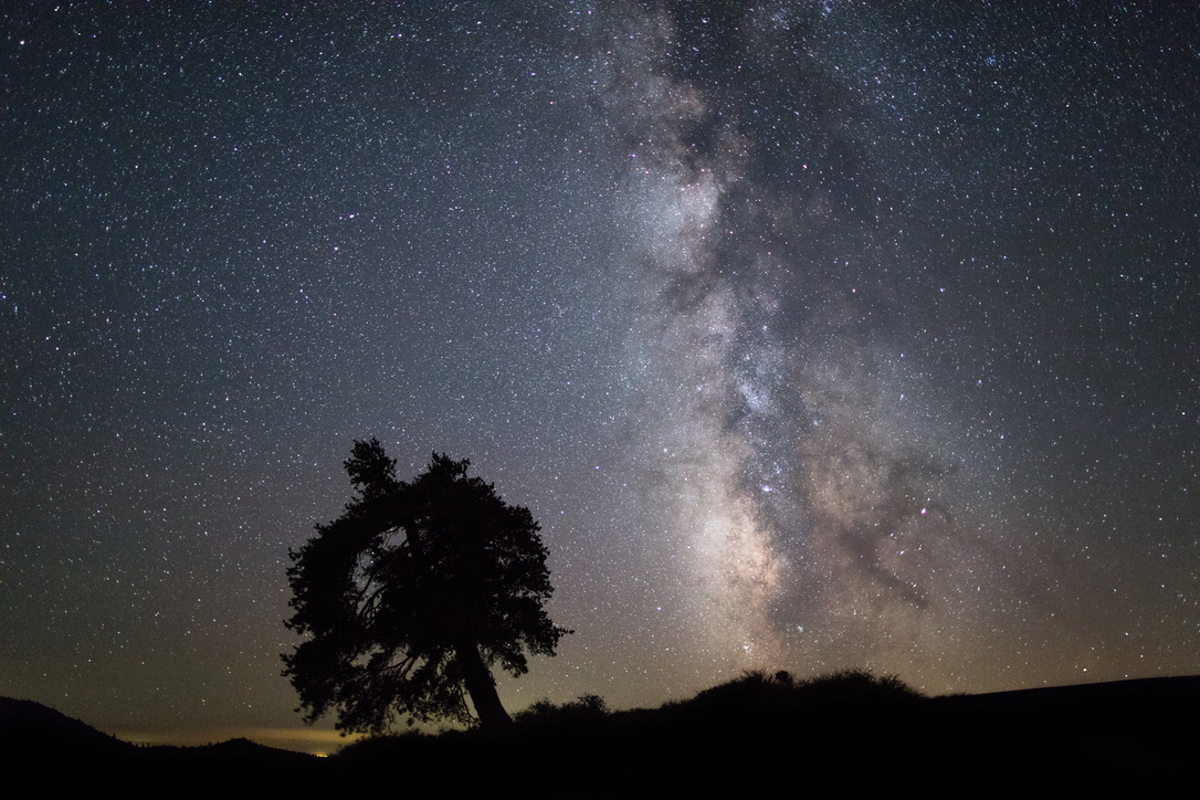 a single tree silhouetted against a night sky filled with thousands of stars and the milky way