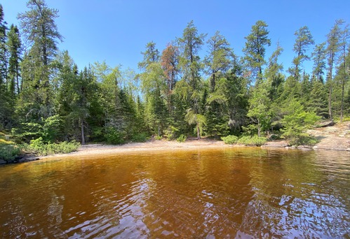 View of houseboat site beach access from calm water with large pine trees in background.